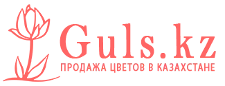 Петропавловск